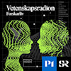 Josefin Persdotter