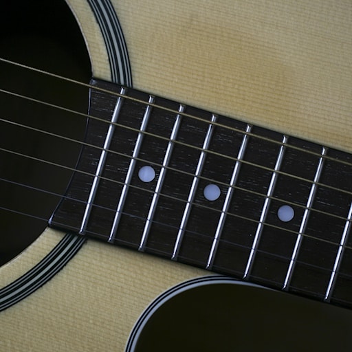 Om den litterära visan