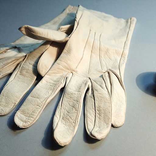 Om subkulturen ankism