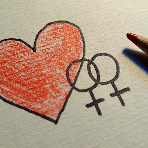 Om lesbisk kärlek i litteraturen