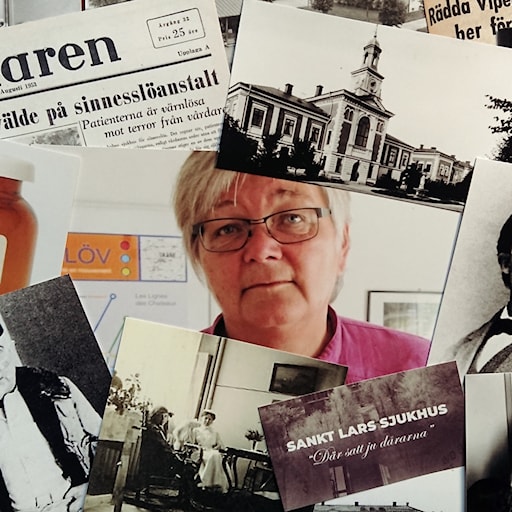 Om svensk mentalvård