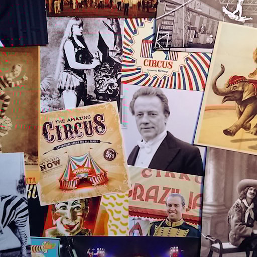 Om cirkus 1