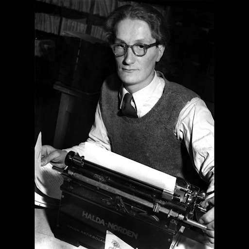 Om Tvillingdetektiverna