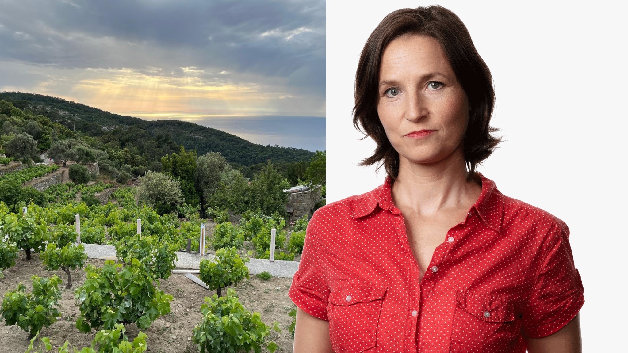 Om honung, vin och ett långt liv: Sara Heyman, Ikaria