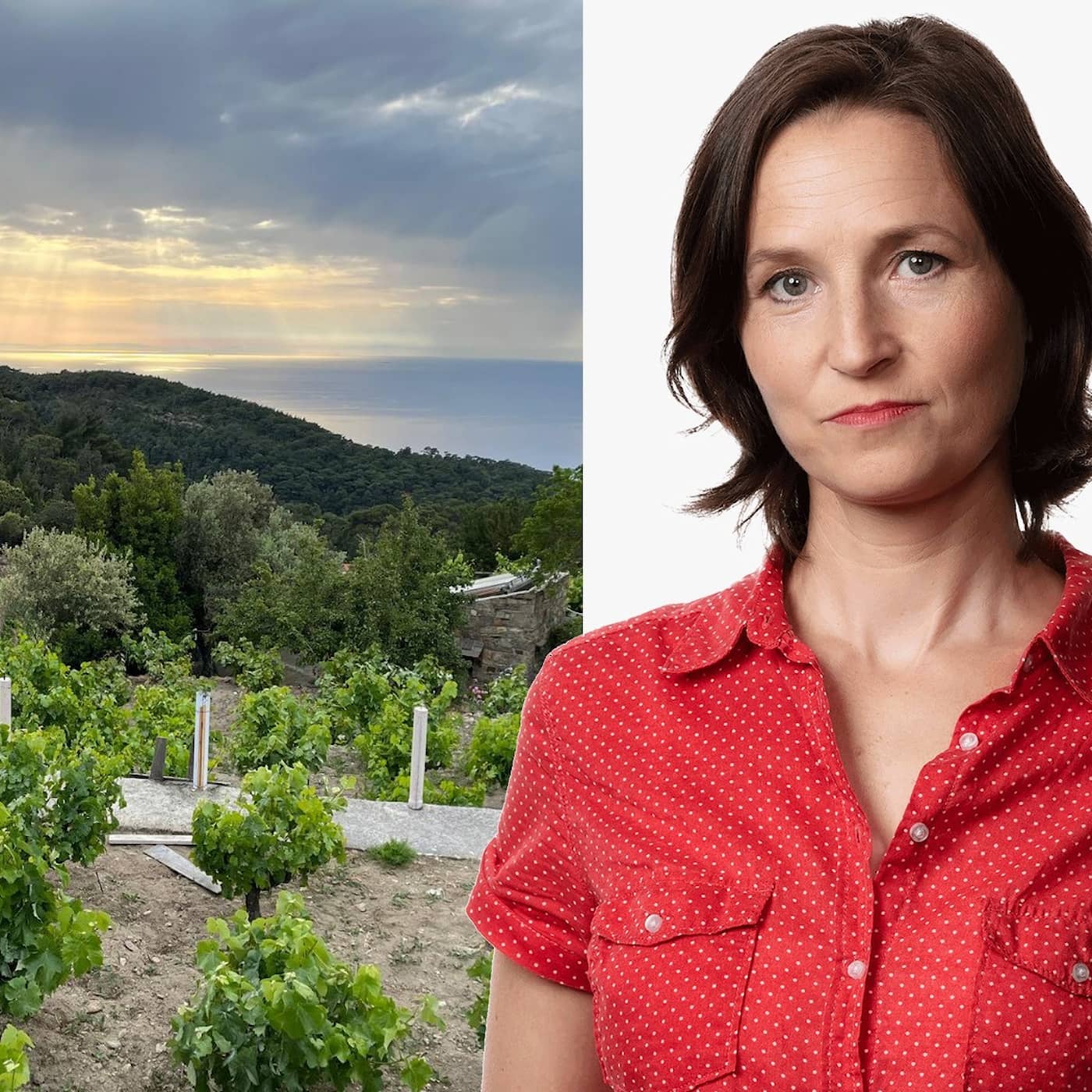 Om honung, vin och ett långt liv: Sara Heyman, Ikaria episode artwork