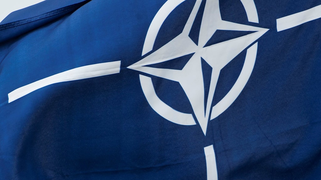 Varför Ska Sverige Inte Gå Med I Nato