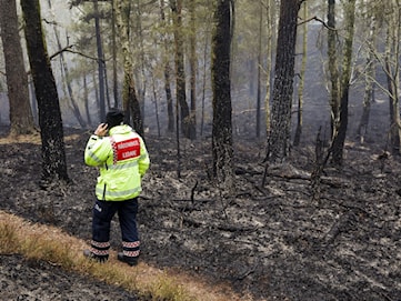 Risk för bränder i skogar