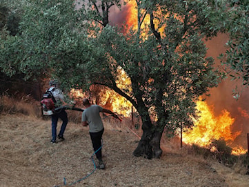 Svenskar fick lämna sina hotell på grekiska ön Lesbos