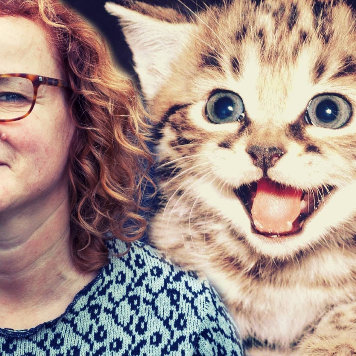 Vi står inte ut med att katten går sin egen väg episode artwork