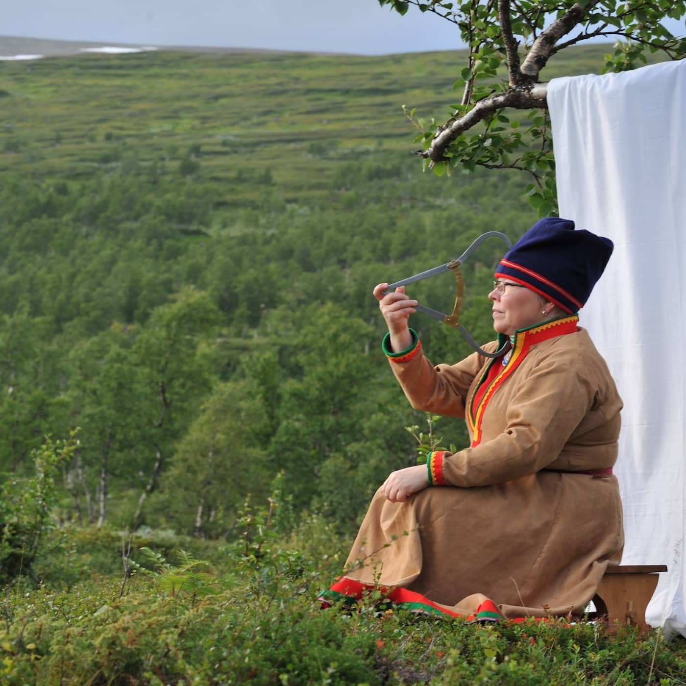 Att följa rasbiologernas spår för att få ett slut på skammen episode artwork