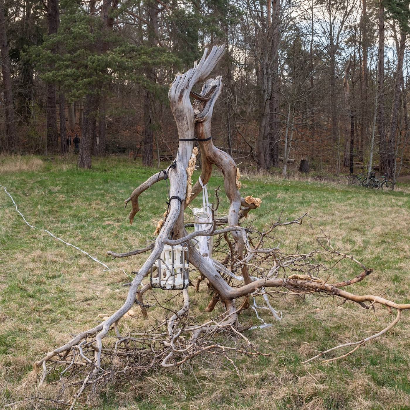 Allt stänger medan skogen är öppen – en konstutställning bortom vita väggar episode artwork