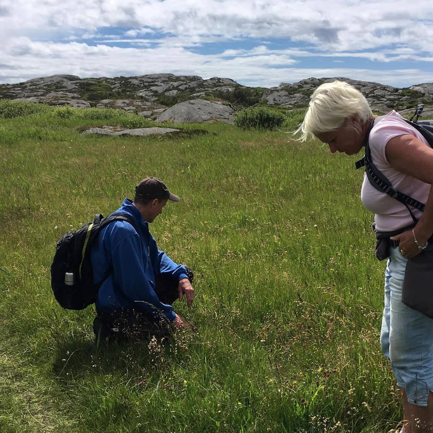 Naturreportaget: Bevarad bohuslänsk skärgårdsnatur på Härön episode artwork