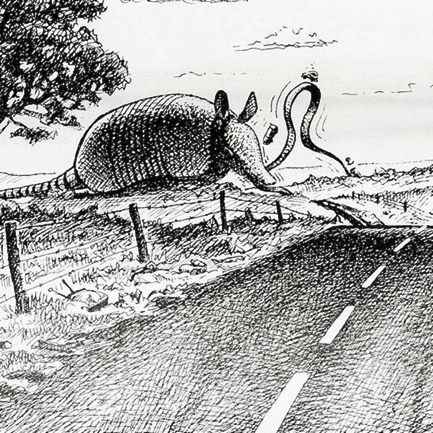 Naturreportaget: Bältdjurets väg till kultstatus episode artwork