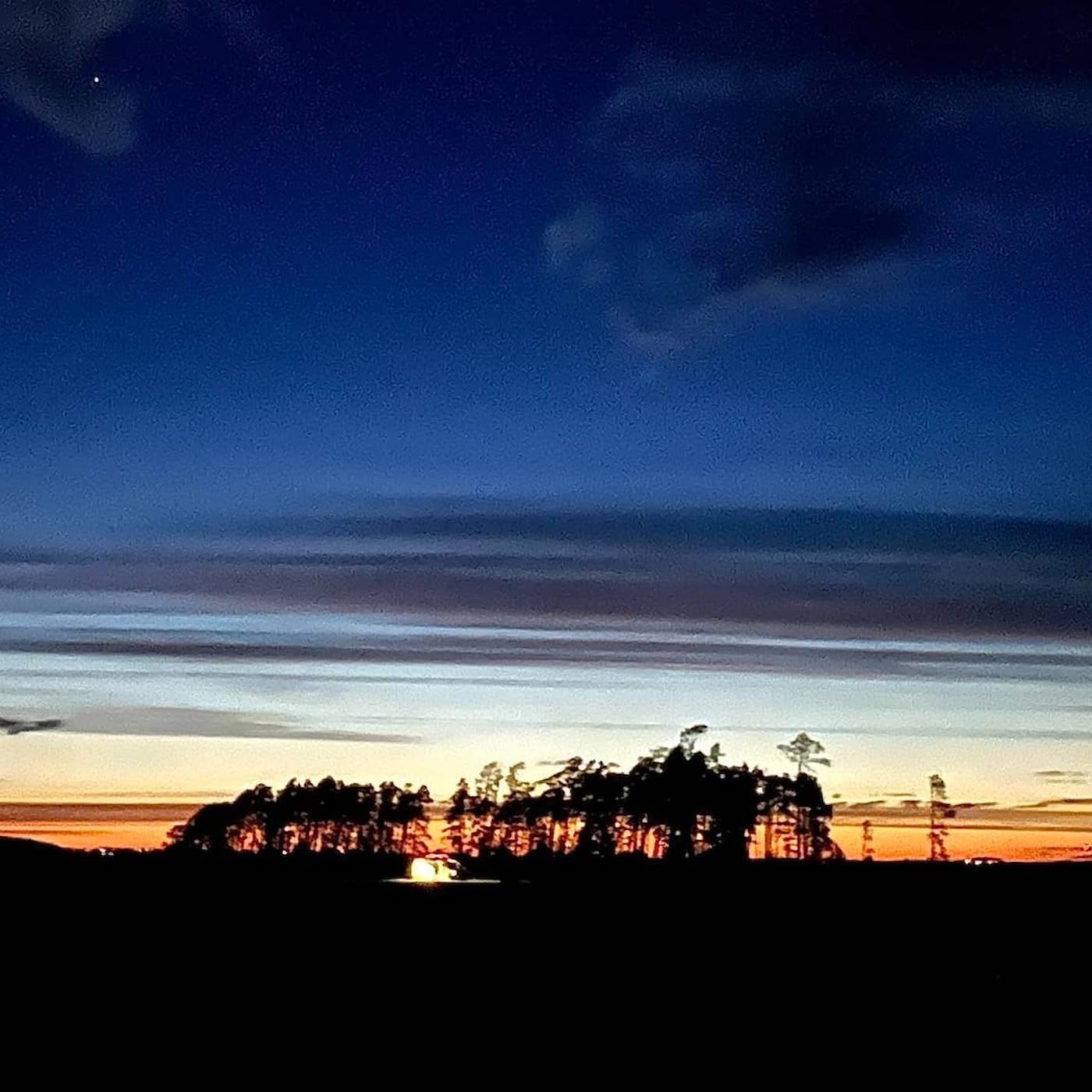 Fågelsångsfrossa: Vattenrall i natten episode artwork
