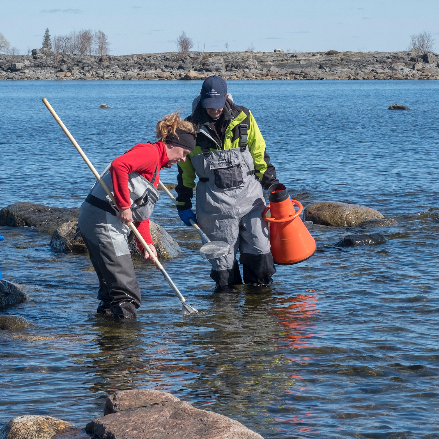 Naturreportaget: Harren som leker ute i Bottenviken episode artwork