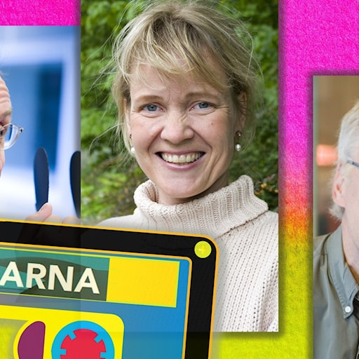 Ur arkivet: Dåliga valaffischer blir bättre! Spanarna 2004 med Göran Everdahl, Gabriella Ahlström och Jonas Hallberg episode artwork