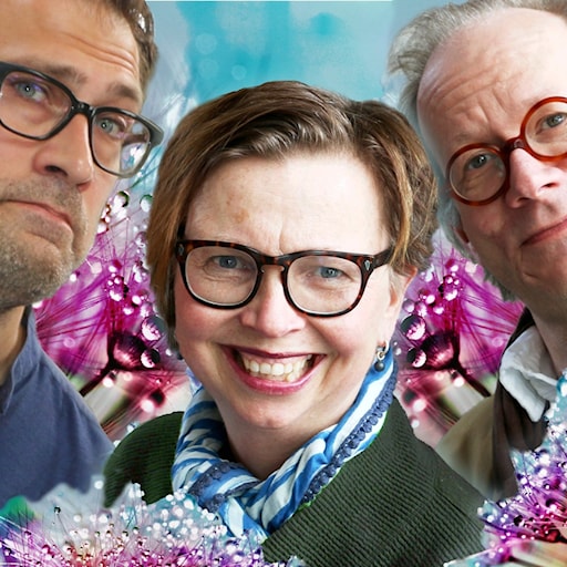 En granne i nöden, Bredden är spetsen & Jag glömmer det så väl – Spanarna i P1 episode artwork