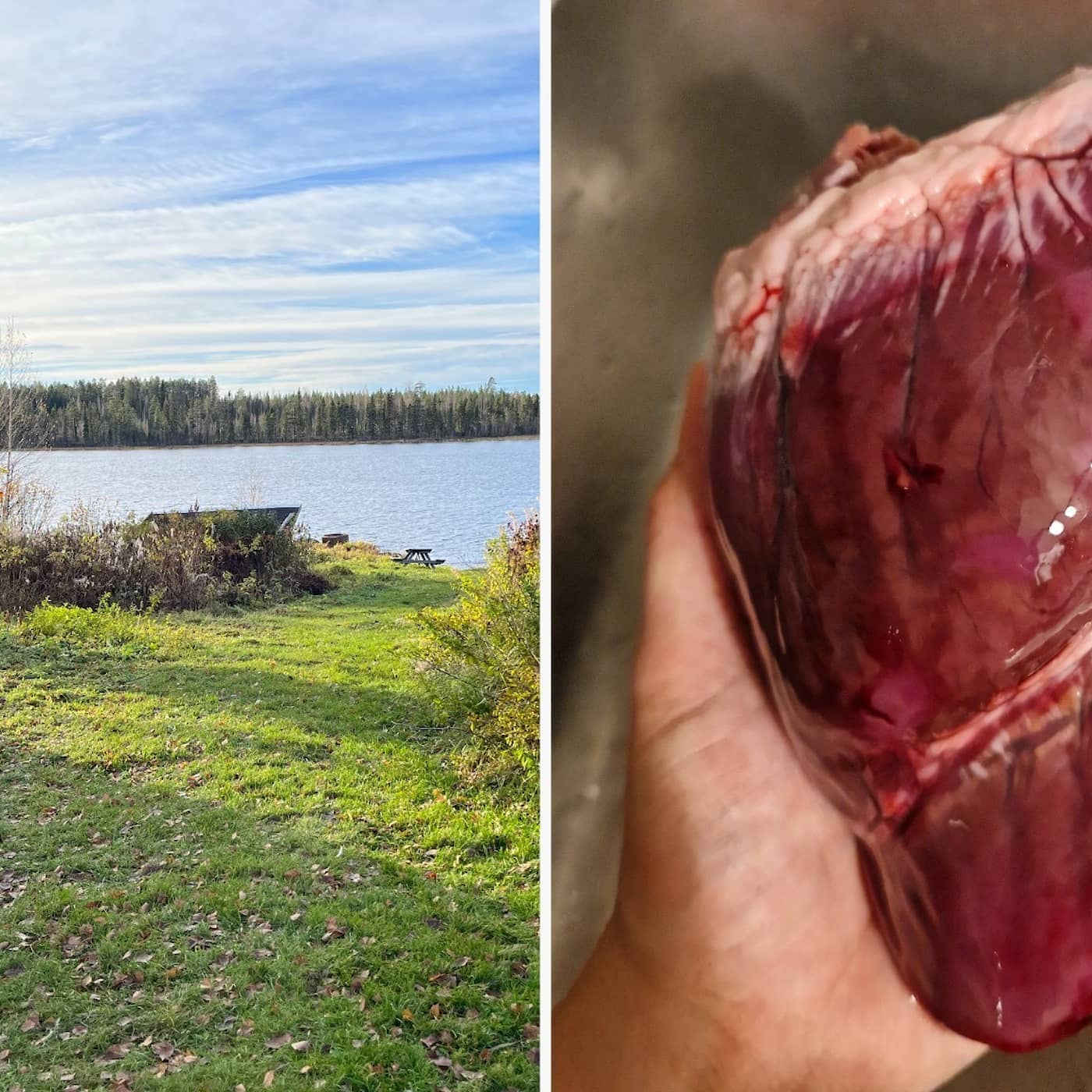 Lever, hjärta och njurfett – Samisk matkultur med Per Huuva | Så här gör jag! episode artwork