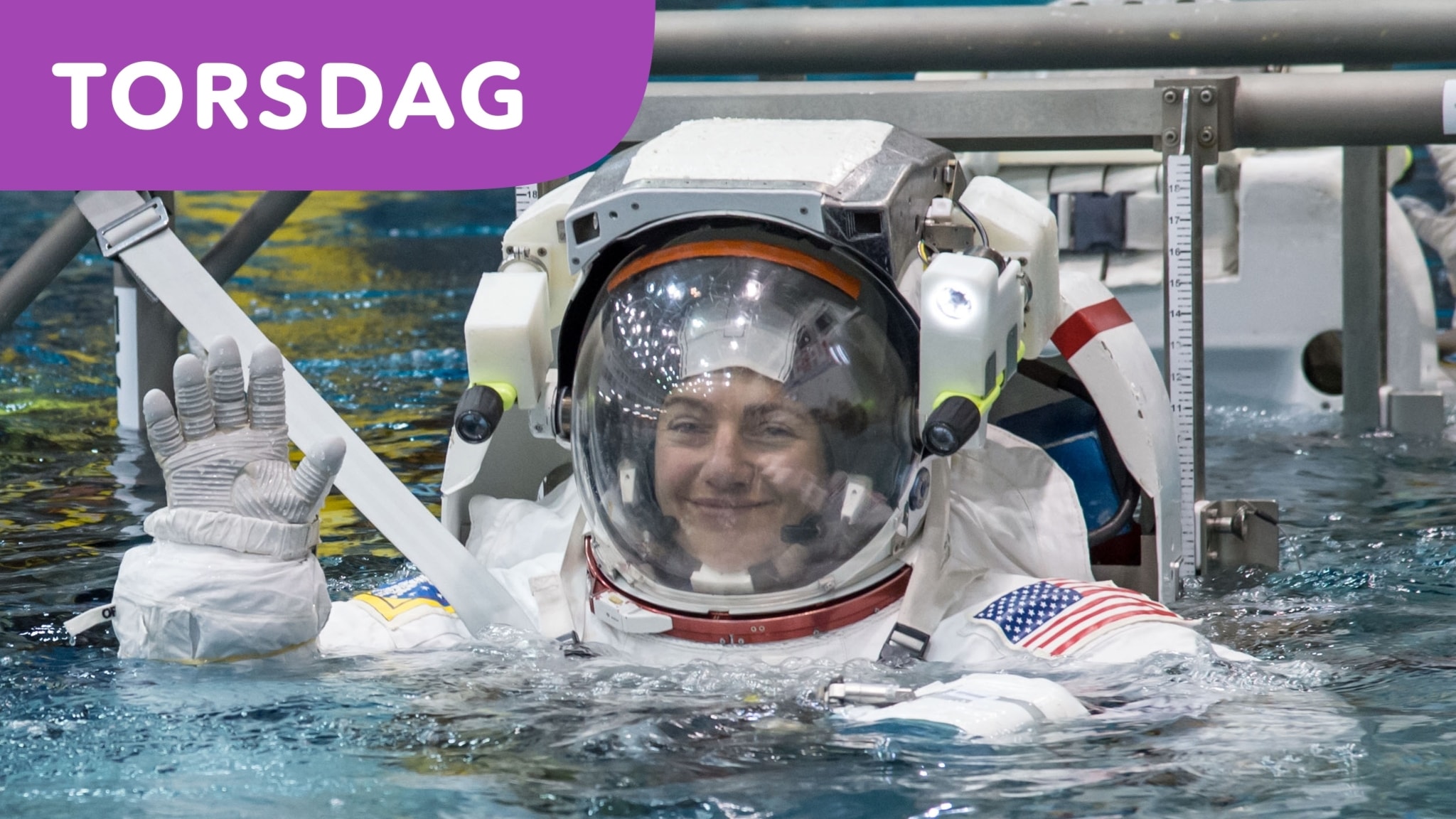 Första Svenska Kvinnan I Rymden