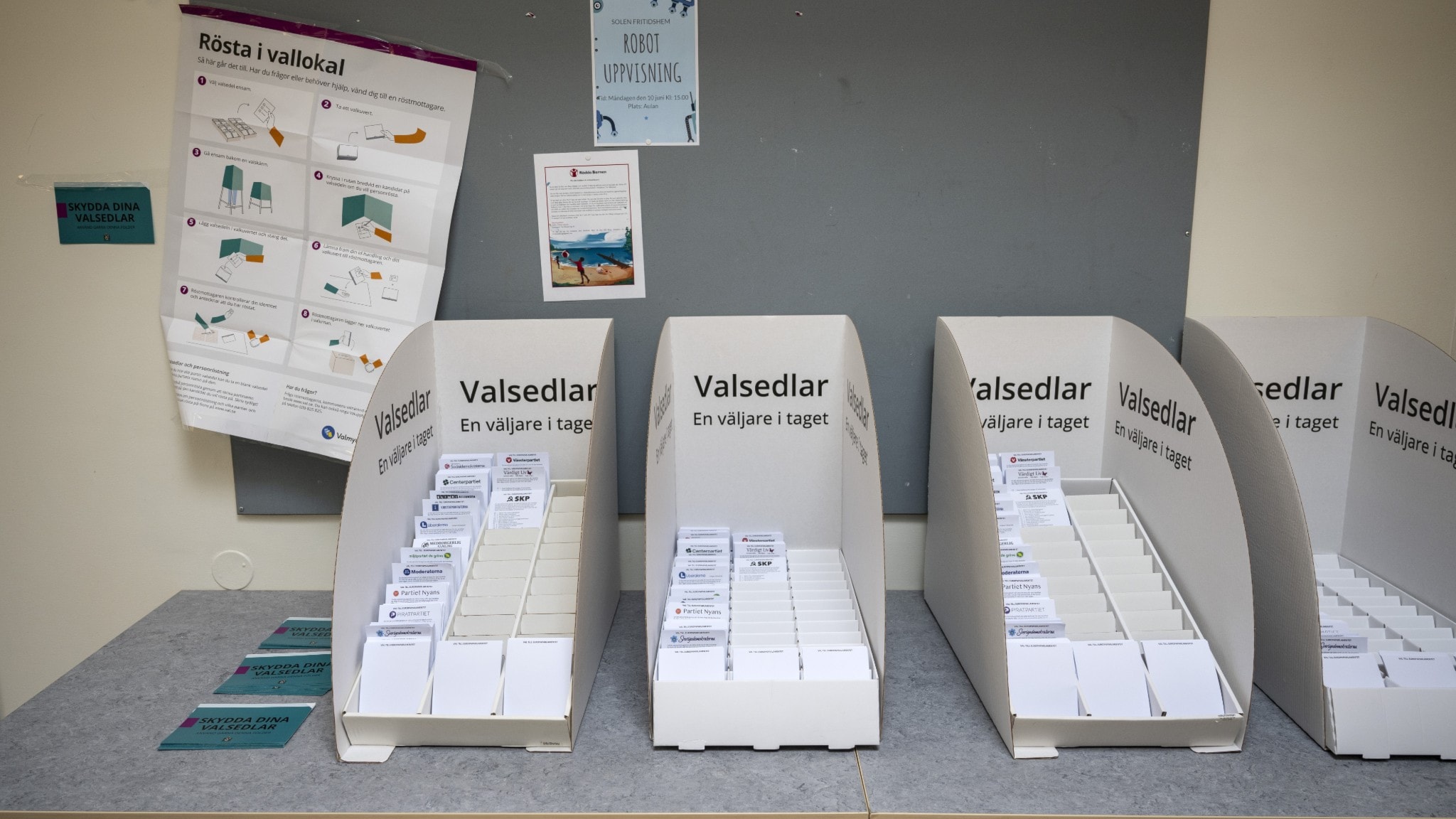 Sverige röstar till EU – hör röster från hela landet