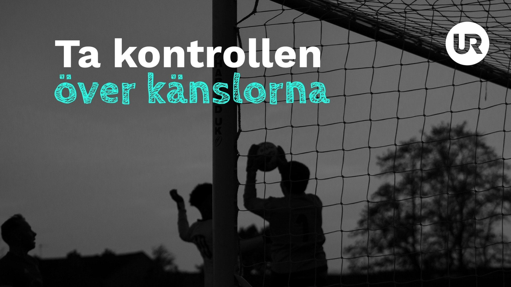 Hur Får Man Tillbaka Sitt Ex