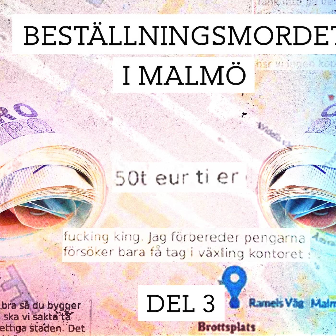 Beställningsmordet i Malmö – Priset för ett liv | Del 3/3 episode artwork