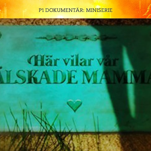 De mördade sin mamma - Lillebror | Del 1/3 episode artwork