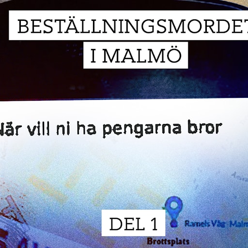 Beställningsmordet i Malmö – Ett brott planeras | Del 1/3 episode artwork