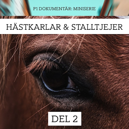 Hästkarlar och stalltjejer: Tjejerna anmäler | Del 2/3 episode artwork