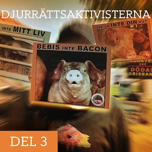 Djurrättsaktivisterna: Aktivister på Universitetet episode artwork