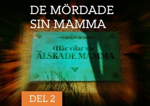 De mördade sin mamma - Ensambarnet | Del 2/3 episode artwork