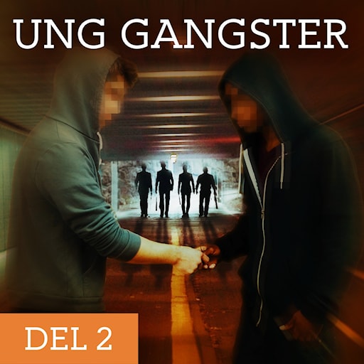 Ung Gangster – Börja från botten episode artwork