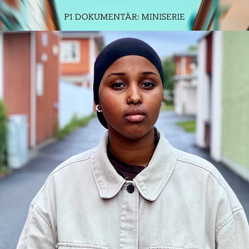 Det delade Borlänge - Ta dig härifrån! | Del 1/3 episode artwork