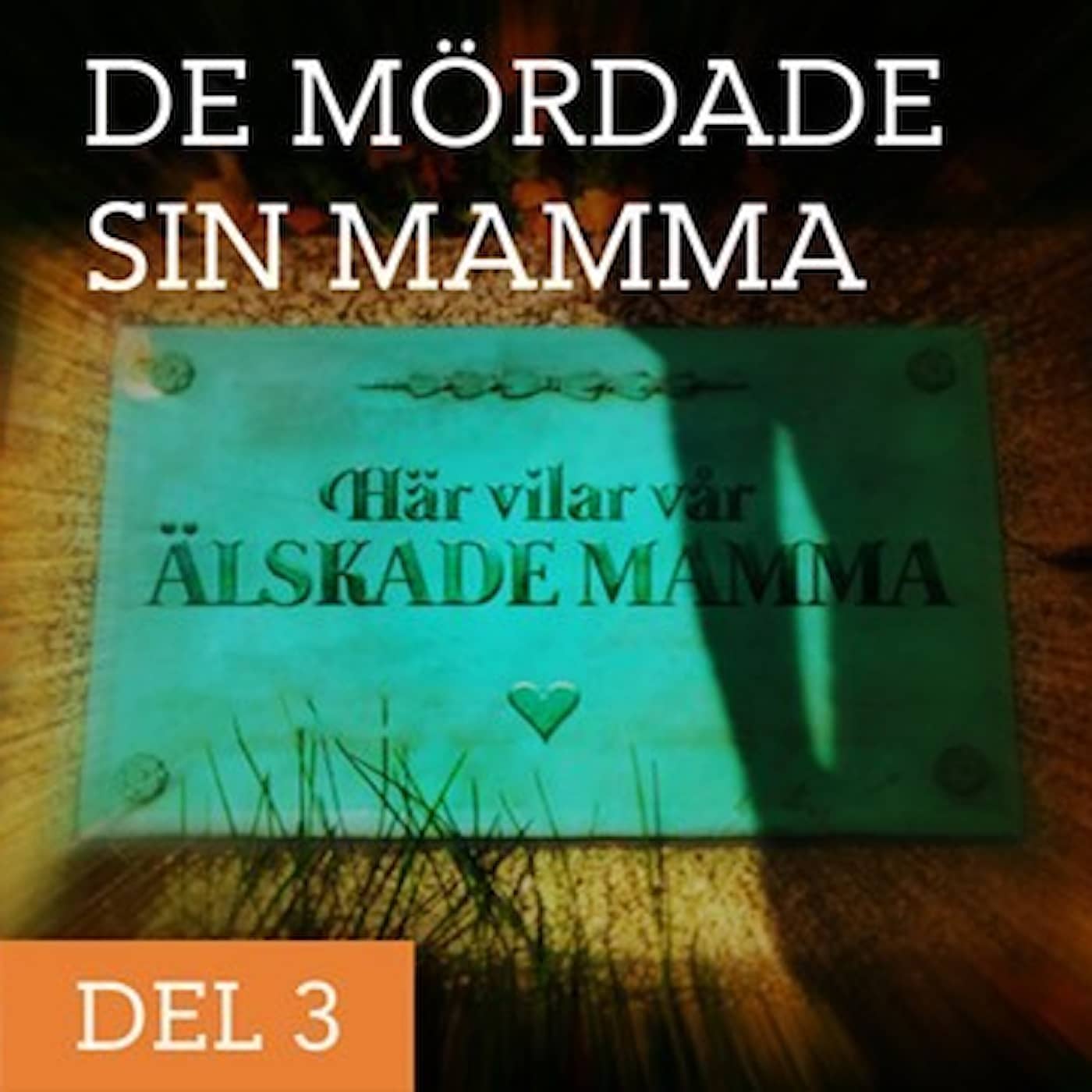 De mördade sin mamma - Pojkvännen | Del 3/3 episode artwork