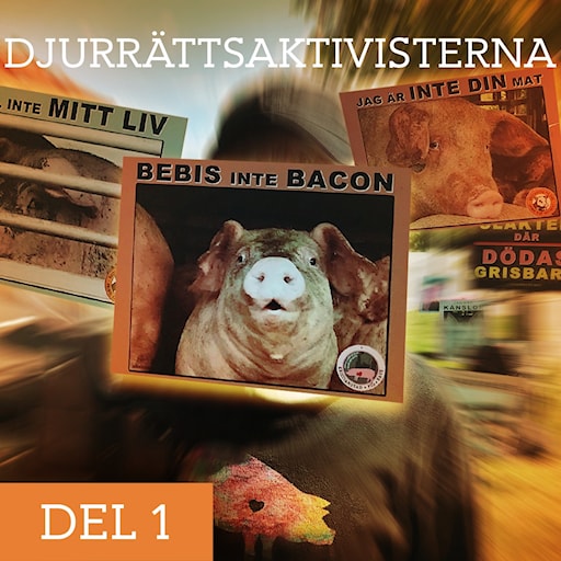 Djurrättsaktivisterna: Grisfabriken episode artwork