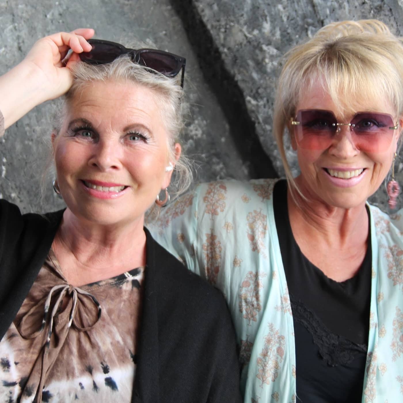 Lili & Susie: Vi vill ha tillbaka folkparkerna episode artwork