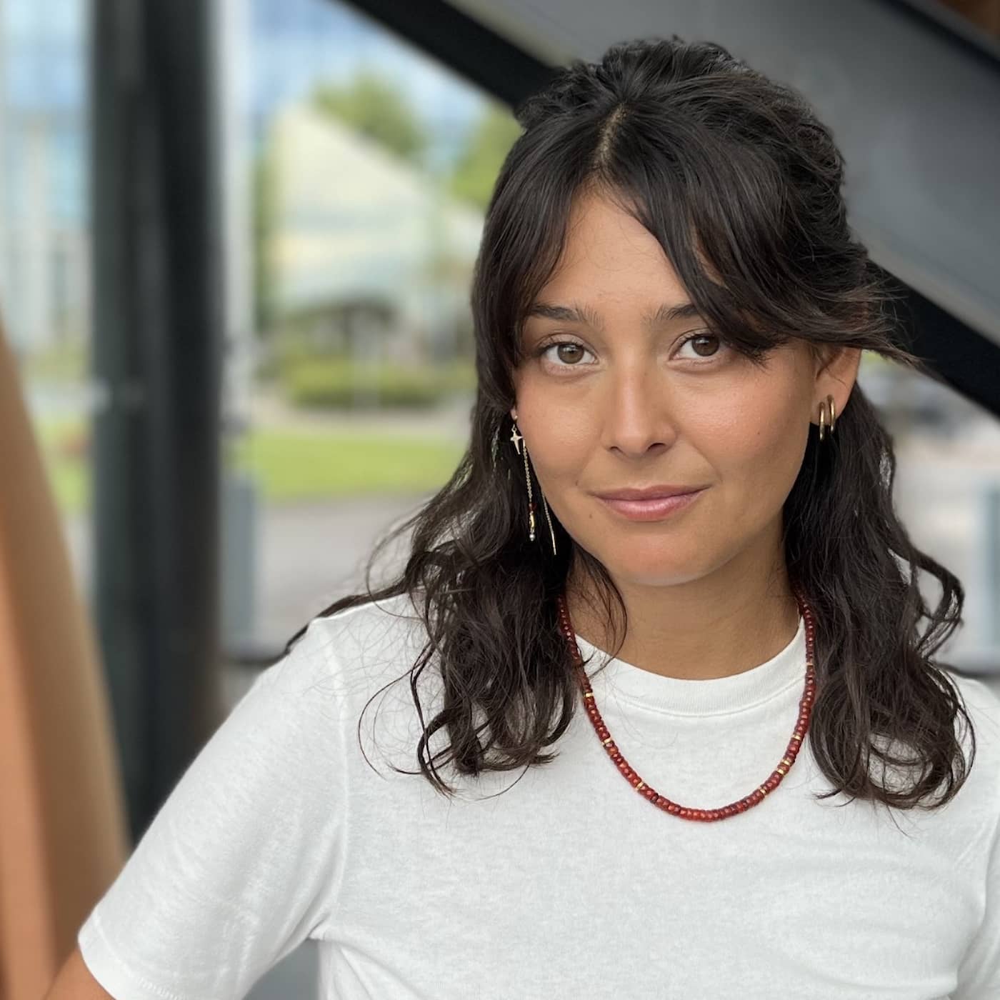 Nora Rios stoppades av polisen: Det kom knarkhundar episode artwork