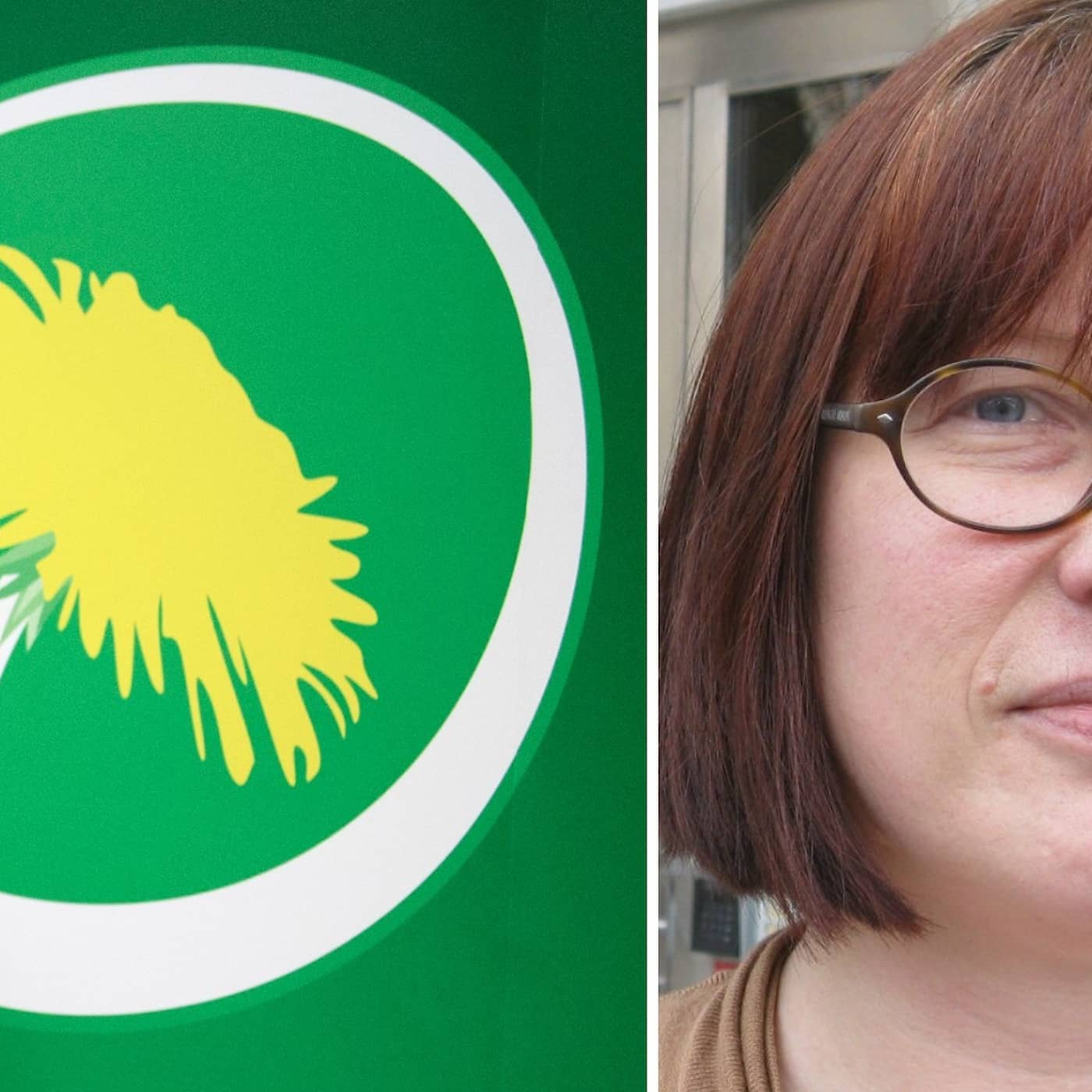 Miljöpartiet vill ha en särskild lag för folkhälsa episode artwork