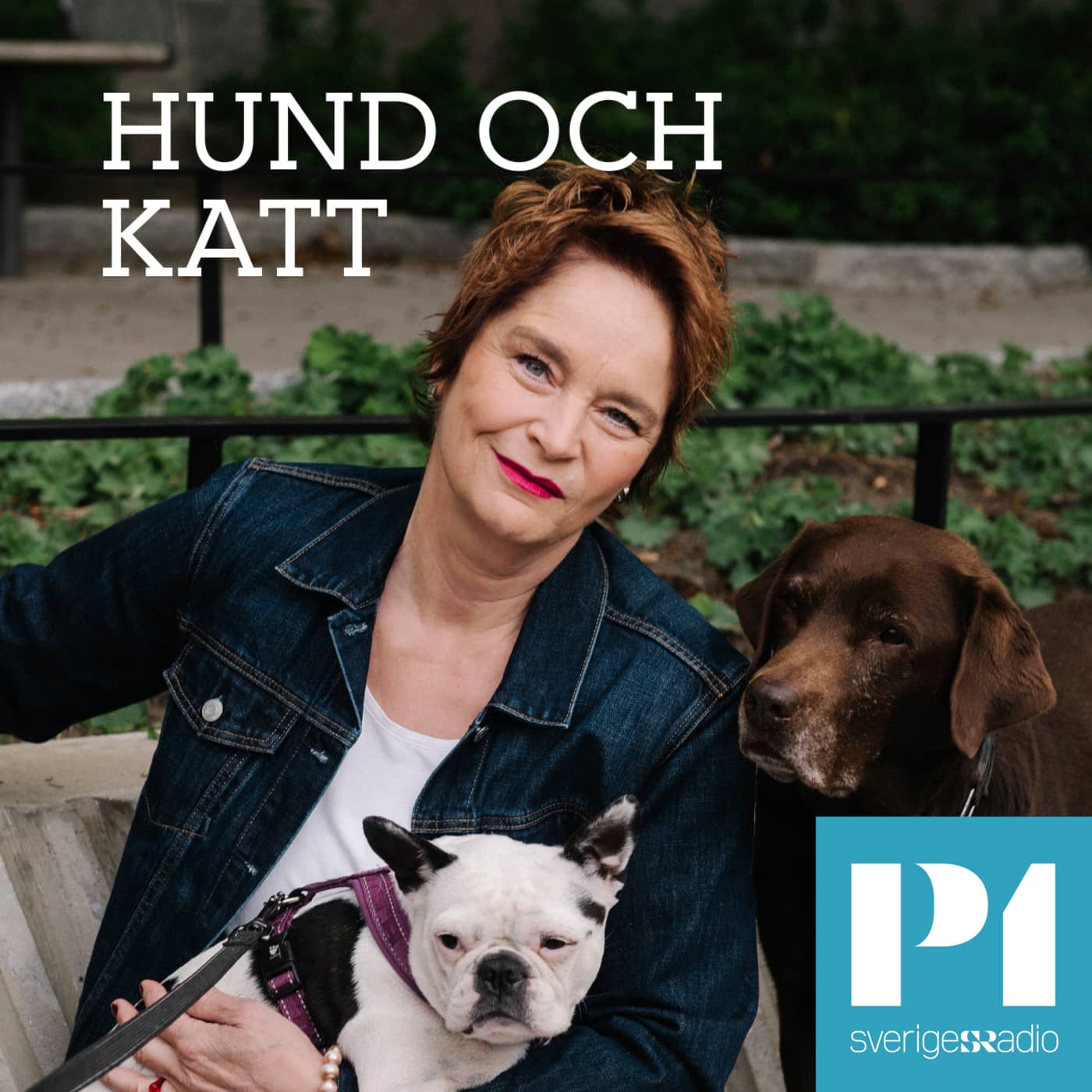 Hund och Katt podcast artwork