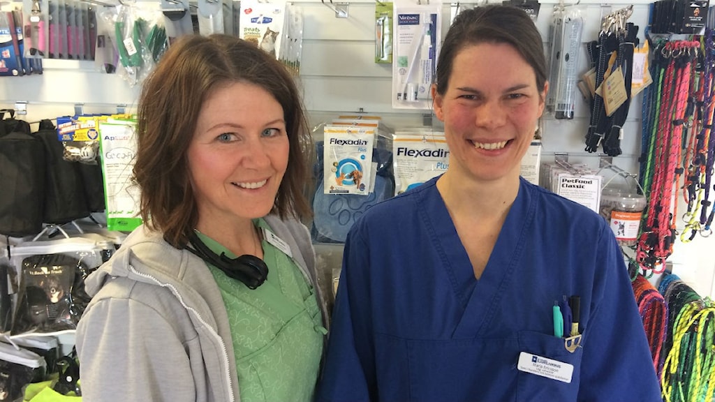 Östersunds djursjukhus finalist i Årets djurklinik - P4 Jämtland ...