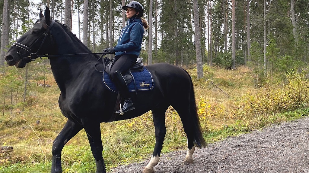 Upprustade Ridleder P Fr s n F r S krare Ridning P4 J mtland upprustade-ridleder-p-fr-s-n-f-r-s-krare-ridning-p4-j-mtland