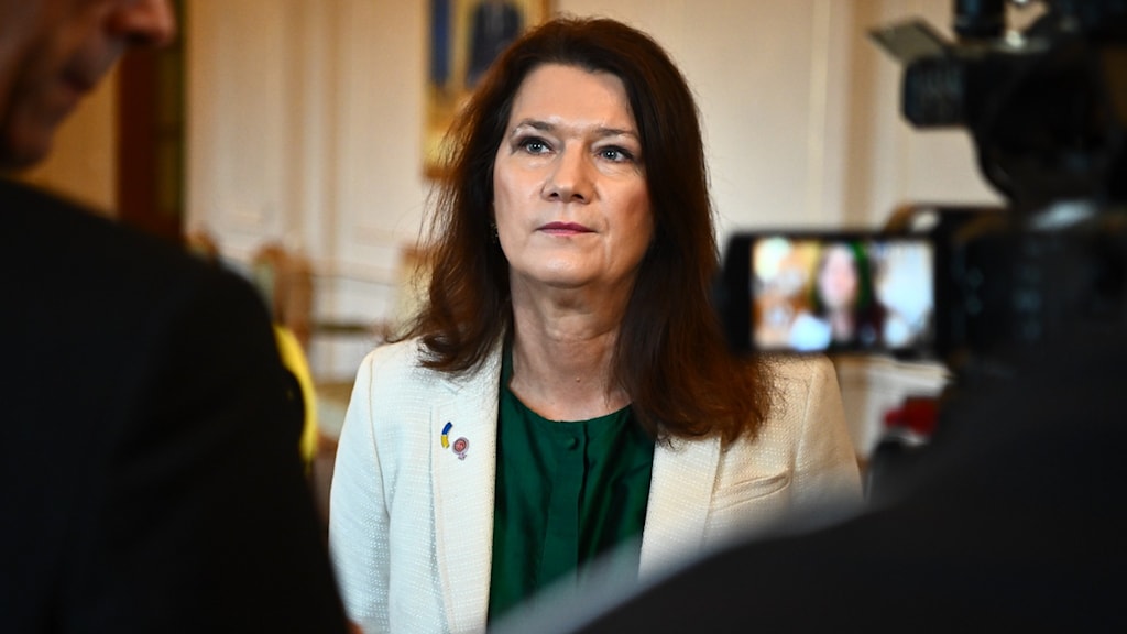 Linde Om Samtalen Aggressivt N r Vi Klagar P N got Turkiet G r Fel 