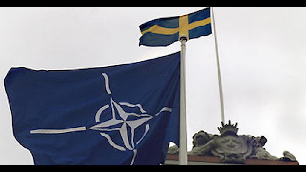 Varför Ska Sverige Inte Gå Med I Nato