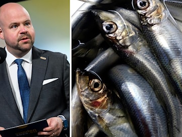 Kullgren vill se försiktiga fiskekvoter i Östersjön
