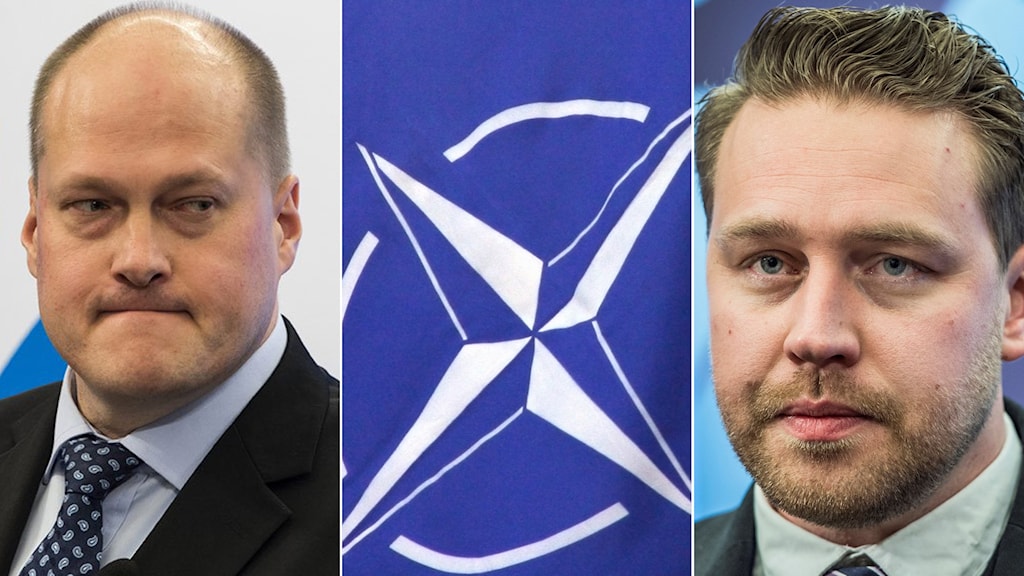 Vill Sd Gå Med I Nato