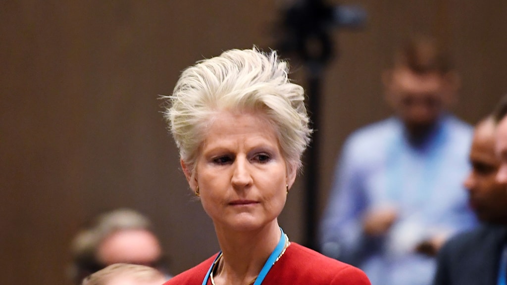Corazza Bildt Djupt Besviken Efter Omr stning Nyheter Ekot Sveriges Radio