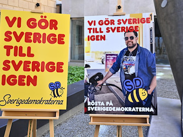 Enhetschef rev ner SD:s valaffischer i Mölndal