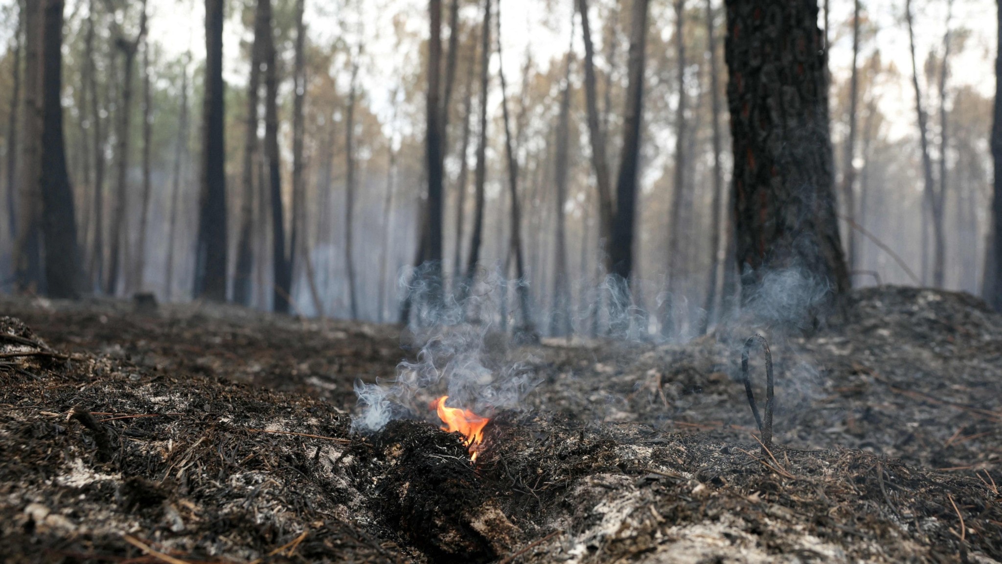 Granater från andra världskriget hittade i Frankrike | Sveriges Radio