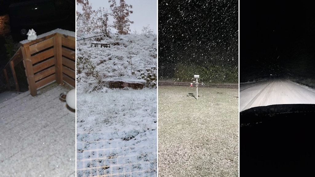 Första snön i södra Sverige – ”på tok för tidigt” - Ekot | Sveriges Radio