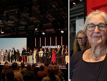 Publiken möter Radiokorrespondenterna